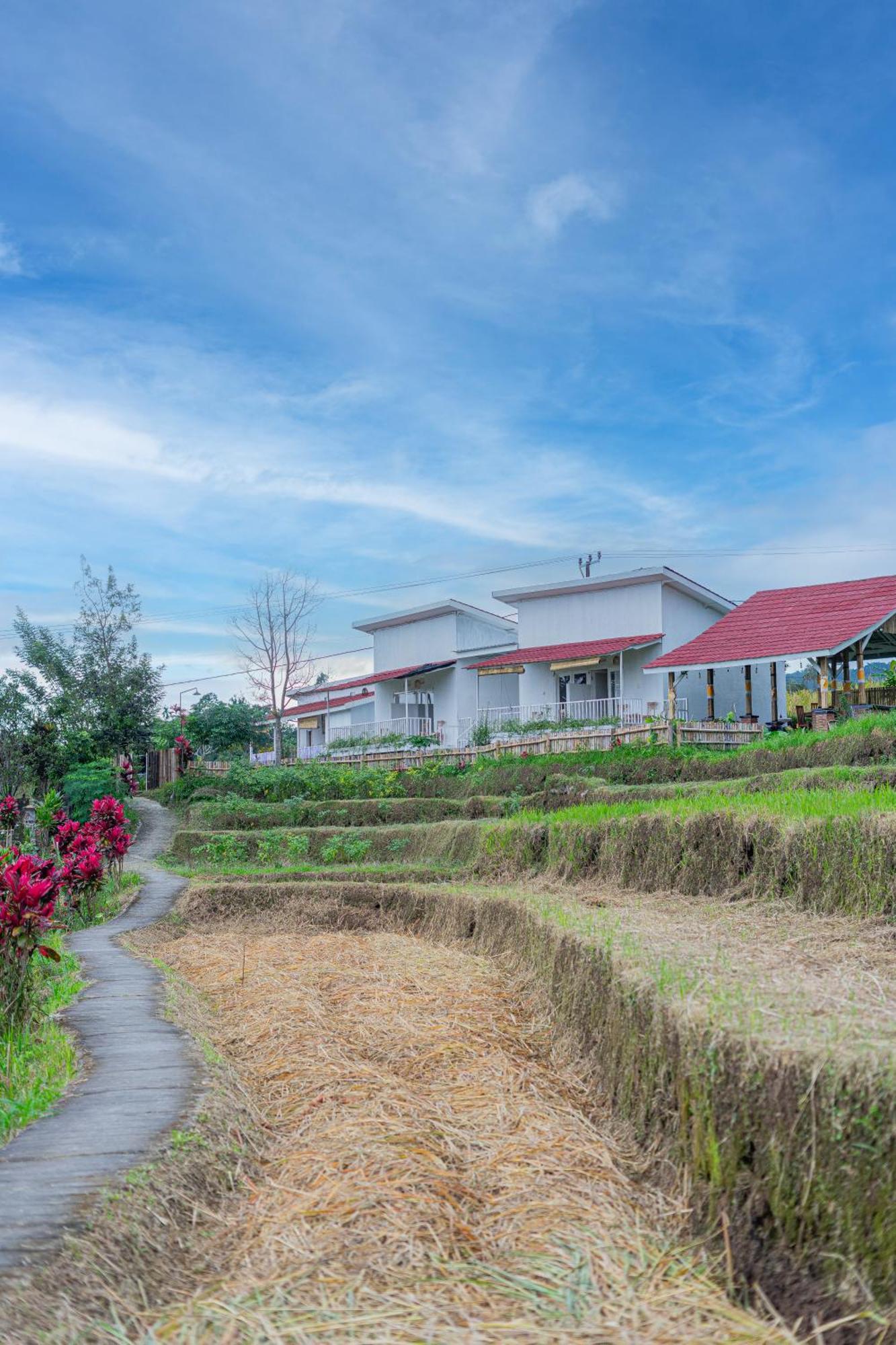 Santya Loka Lodge & Twin Waterfall Jatiluwih Exterior foto