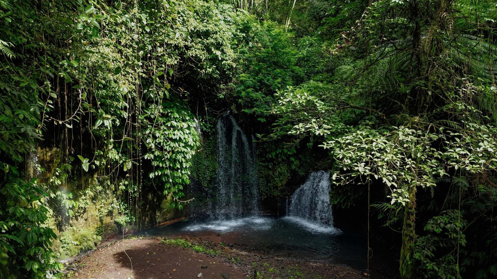 Santya Loka Lodge & Twin Waterfall Jatiluwih Exterior foto